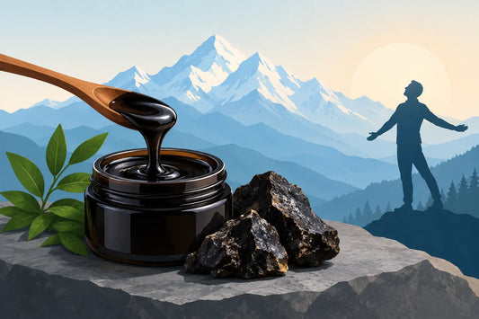 Himalayan Shilajit Resin for Everyday Vitality