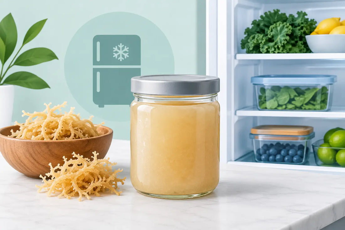 How Long Does Sea Moss Gel Last in the Fridge?