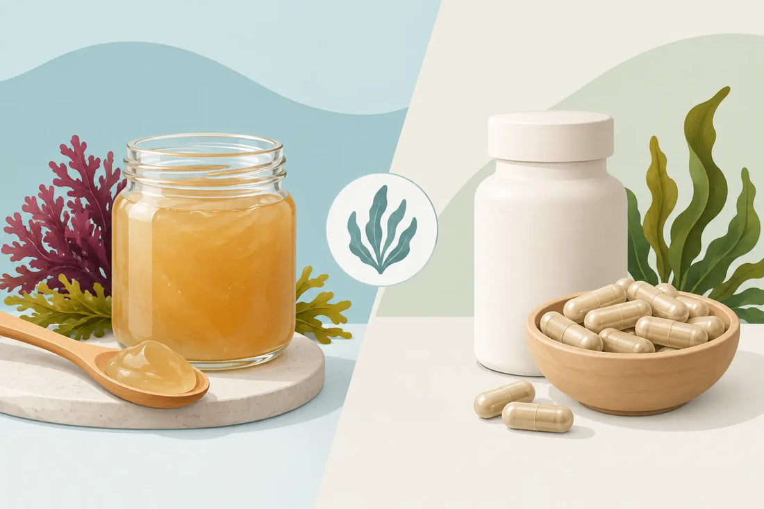 Sea Moss Gel Versus Capsules: Which Fits You?
