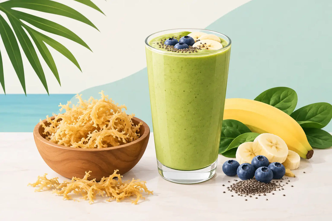 Sea Moss Gel Smoothie Recipe for Daily Vitality